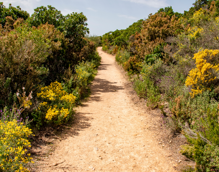  - Séjour randonnées en Corse