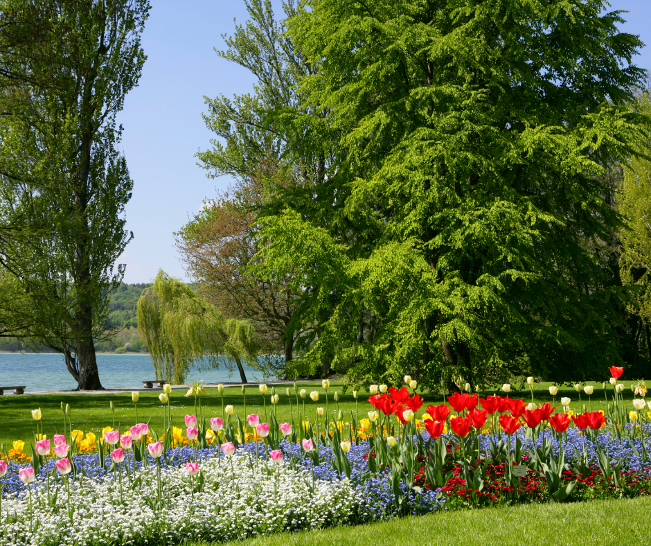  - Sauschwänzlebahn & Insel Mainau