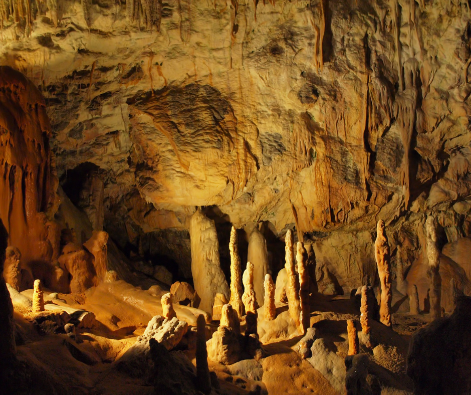  - La Riviera Slovène